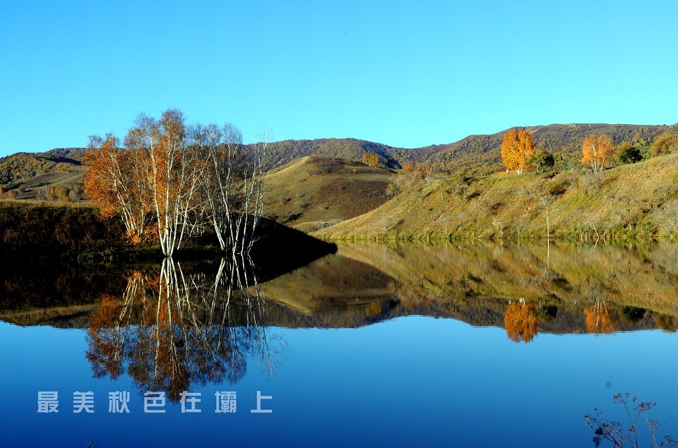 qq图片20131010201725.jpg