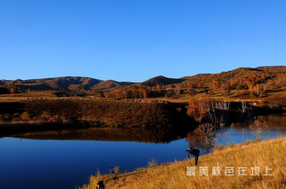 qq图片20131010202945.jpg