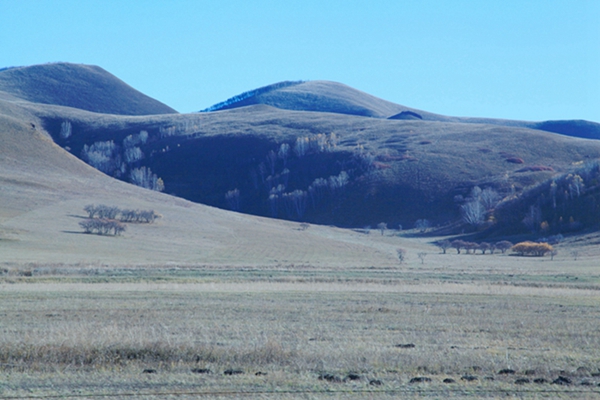 img_4275.jpg