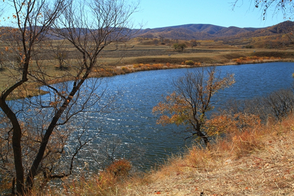 img_4397.jpg