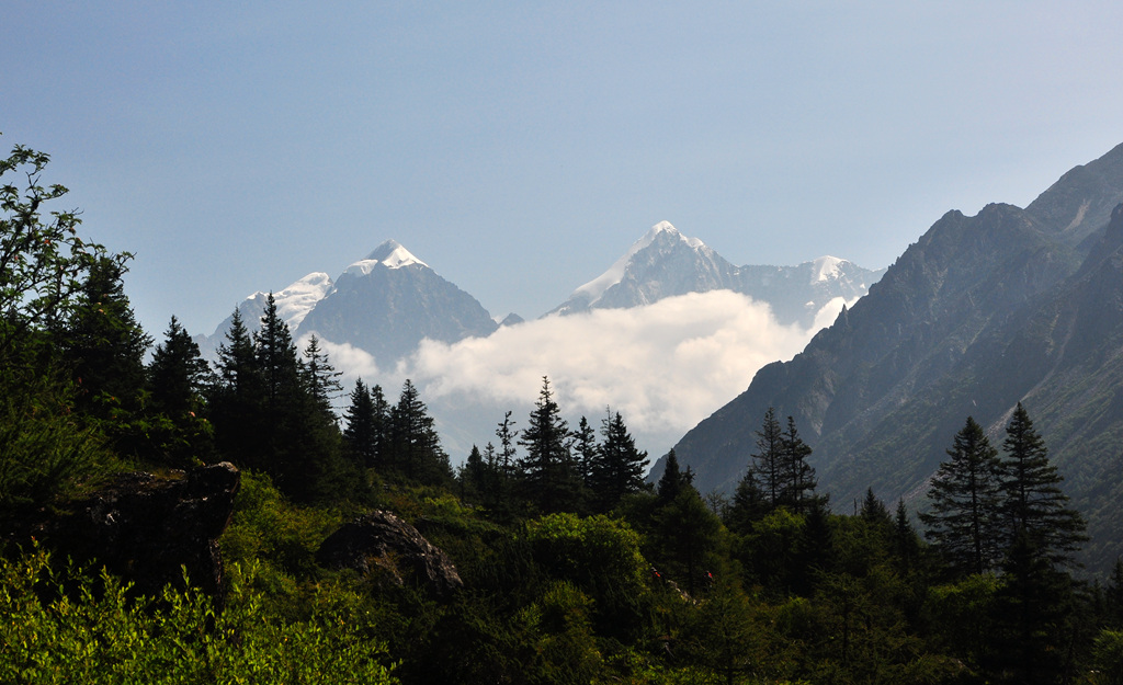 dsc_0194a.jpg