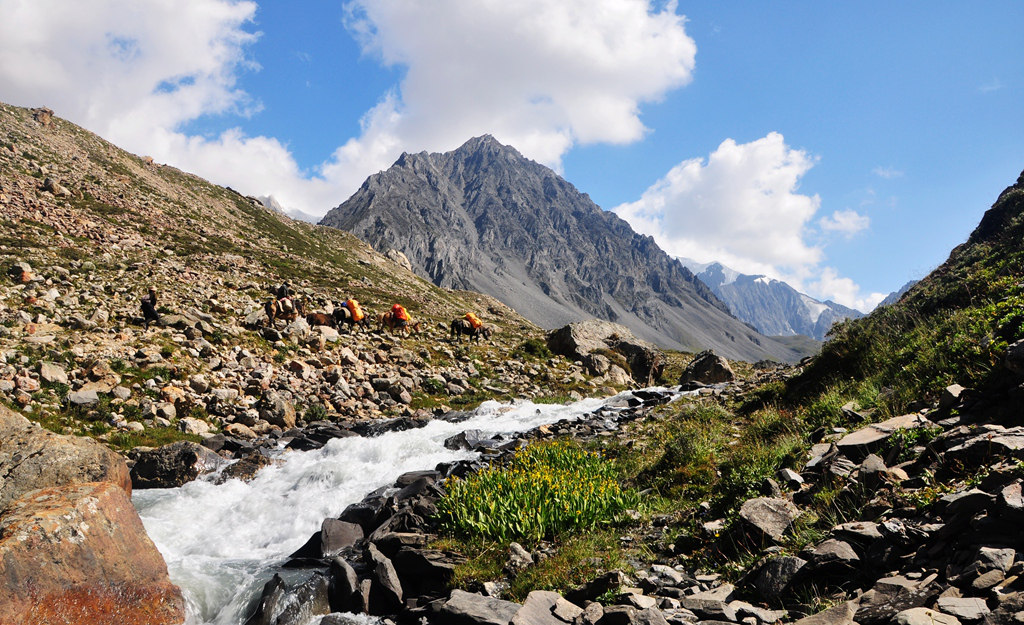 dsc_0332a.jpg