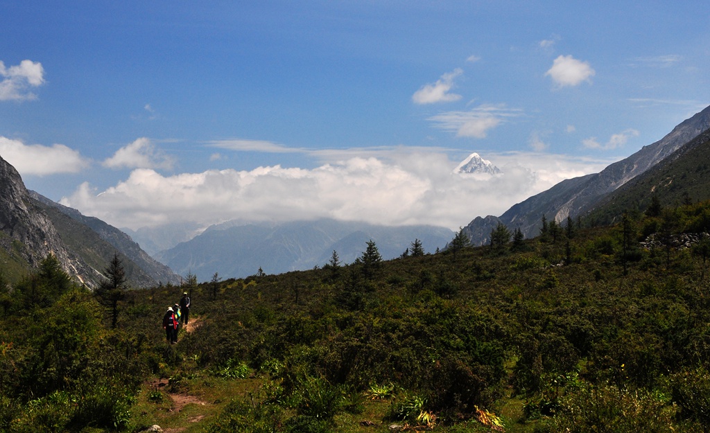 dsc_0254a.jpg
