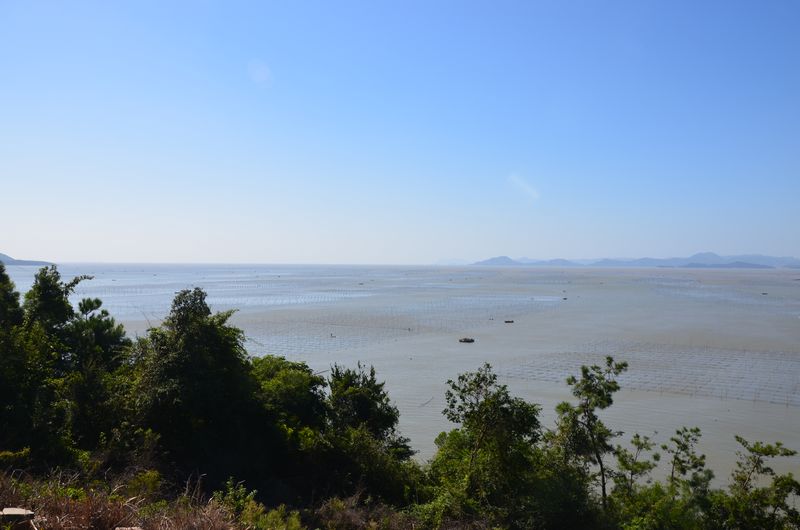 dsc_0002a.jpg