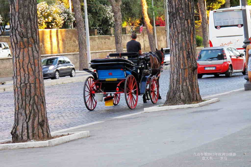img_8942_.jpg