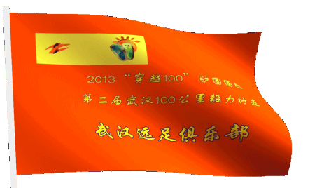 100.gif
