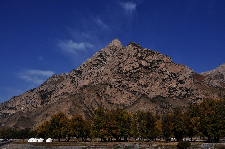 dsc_0407.jpg