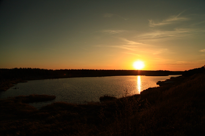 img_4593.jpg