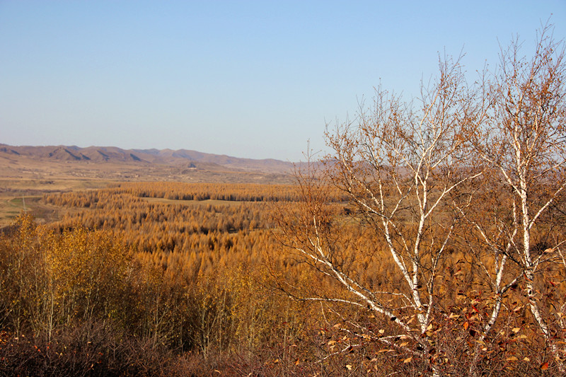 img_9642_.jpg