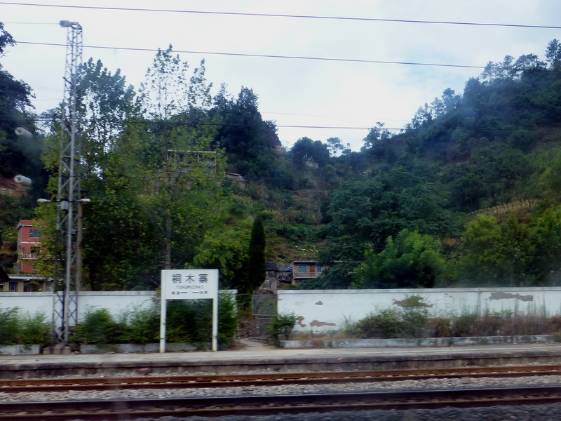 p1110030.jpg