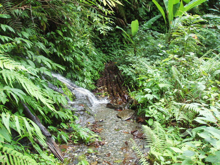 pa021487.jpg