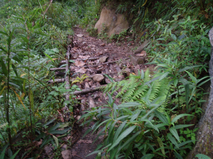 pa021499.jpg