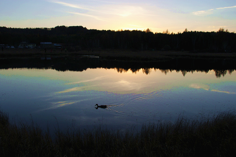 img_9757_.jpg