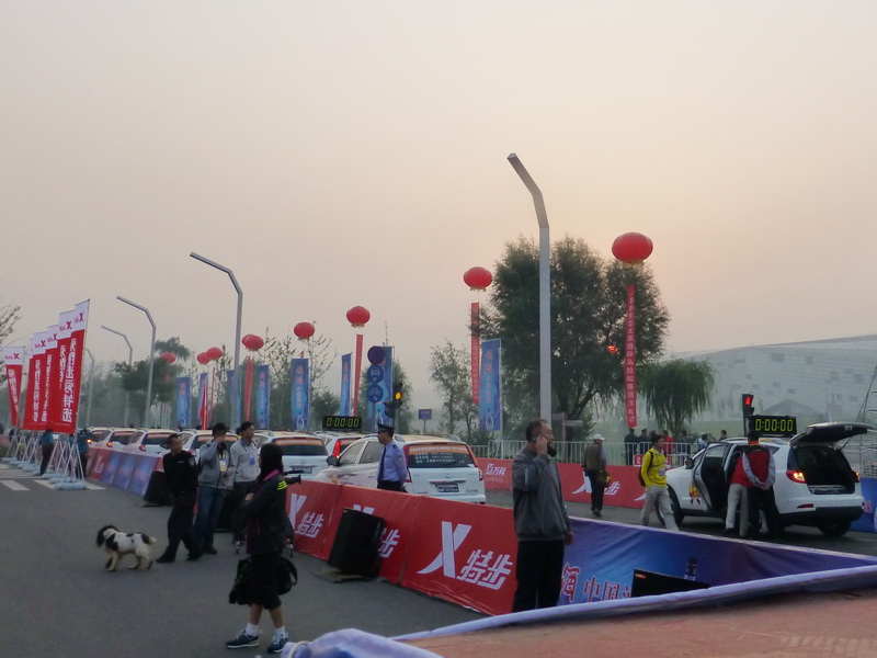 p1130044.jpg