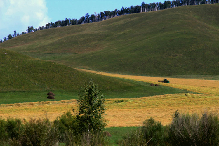 img_8977.jpg
