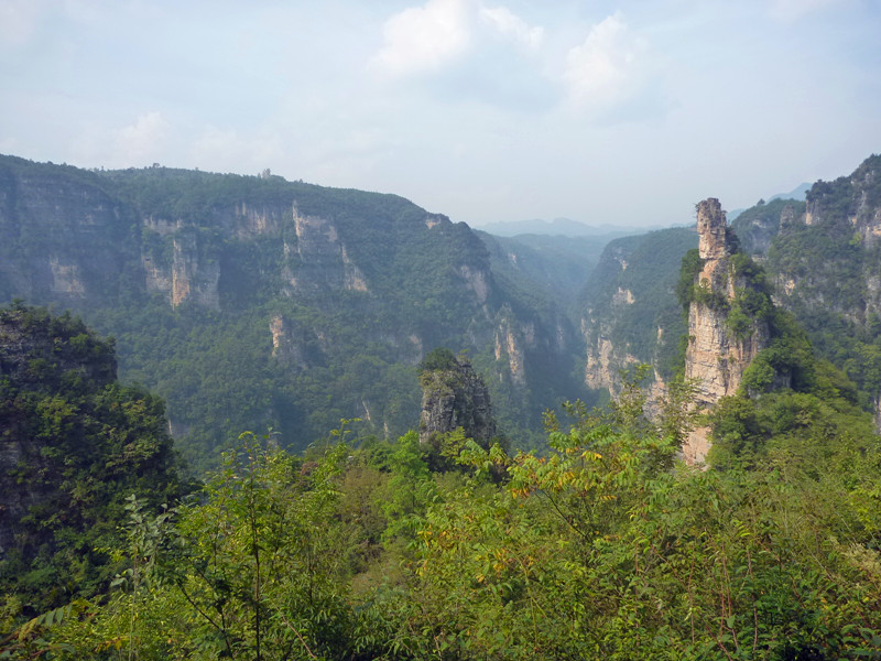 p1160492_.jpg