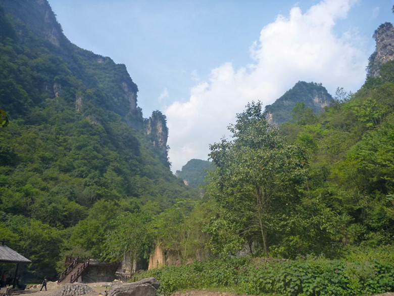 p1160496_.jpg