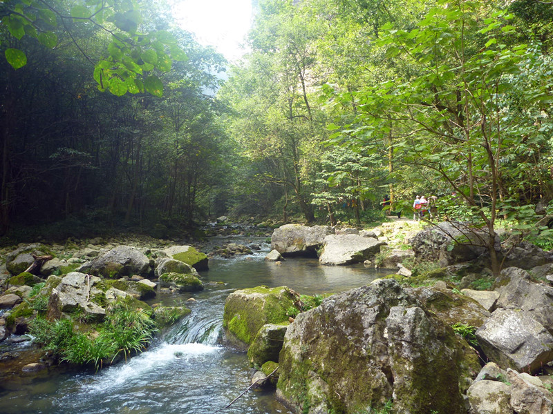 p1160505_.jpg
