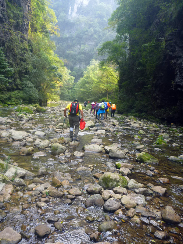 p1160546_.jpg