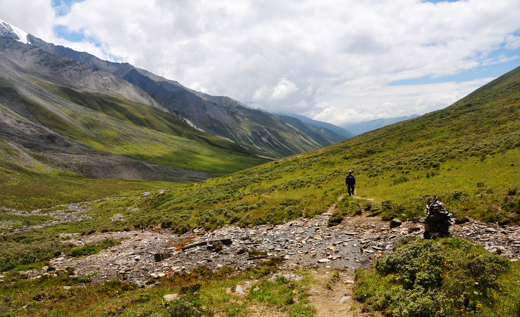 dsc_0663a.jpg