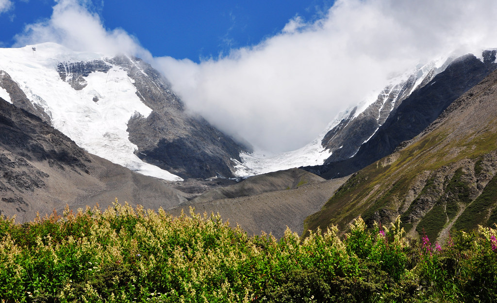 dsc_0734a.jpg