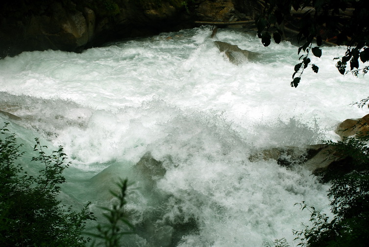 dsc_0276.jpg