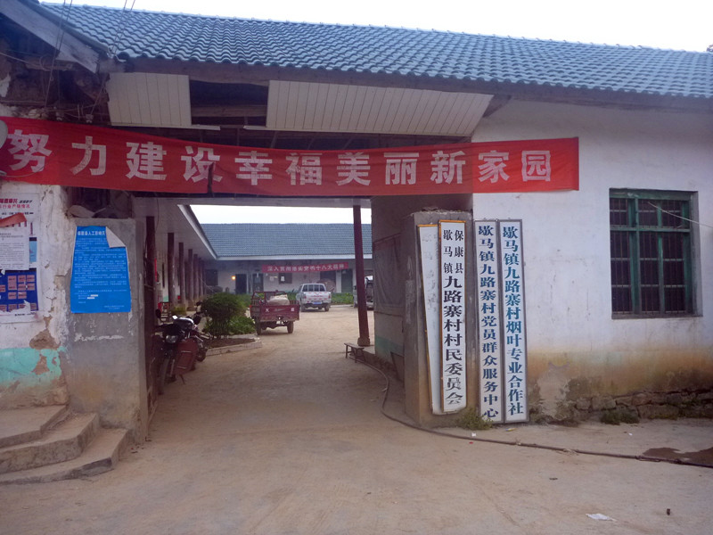 p1160582_.jpg