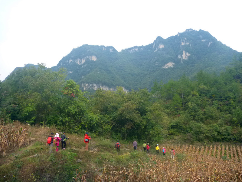 p1160612_.jpg
