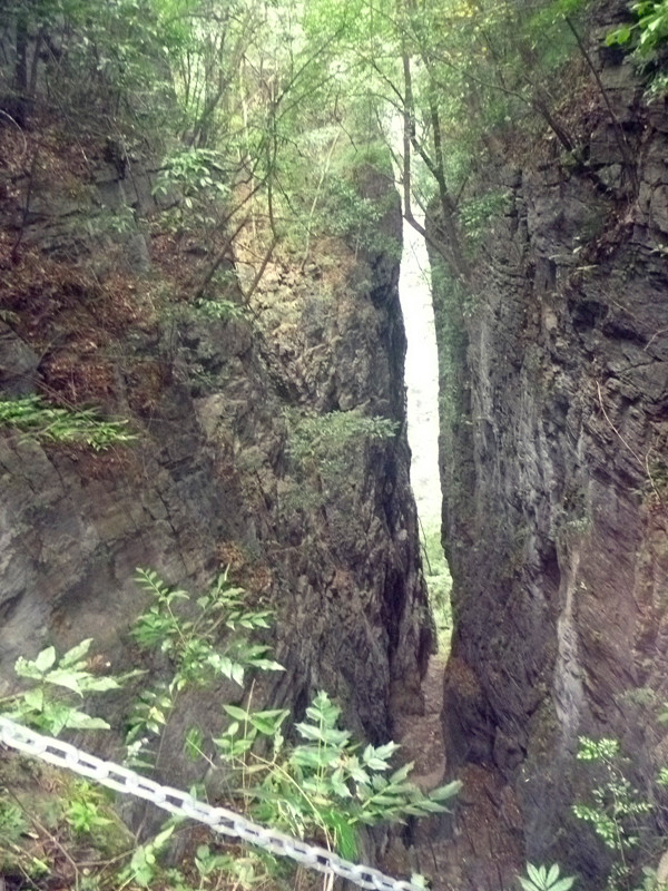p1160615_.jpg