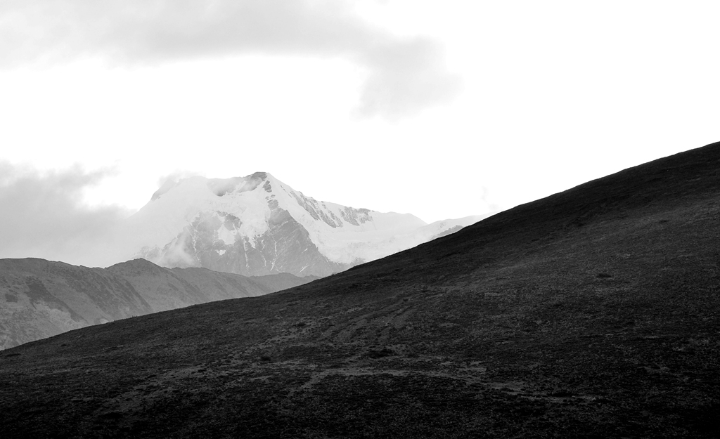 dsc_0785a.jpg