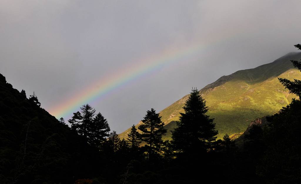 dsc_0988a.jpg