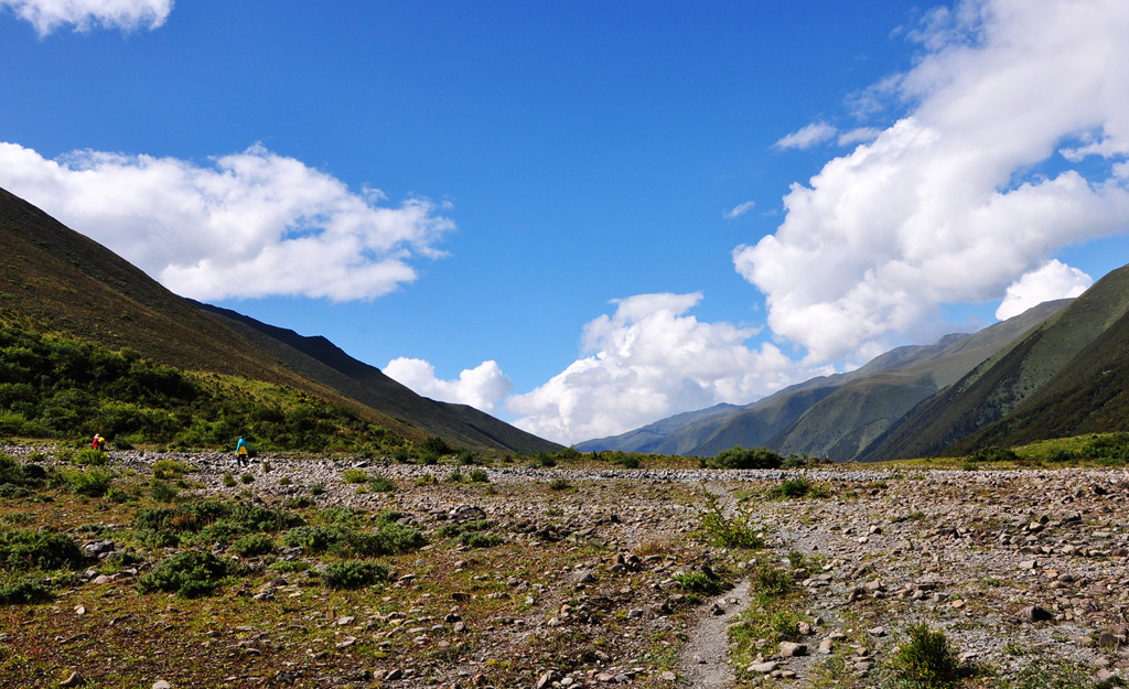 dsc_0843a.jpg