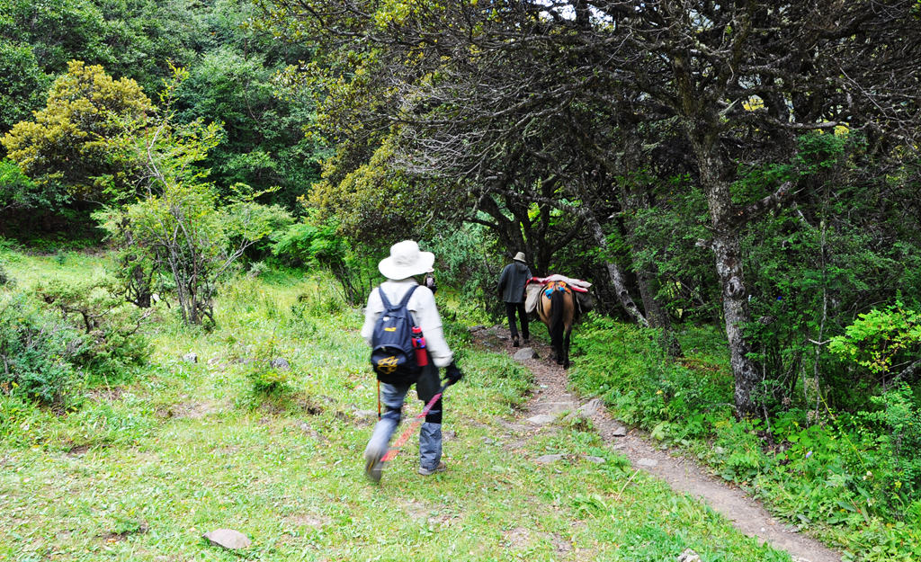 dsc_0940a.jpg