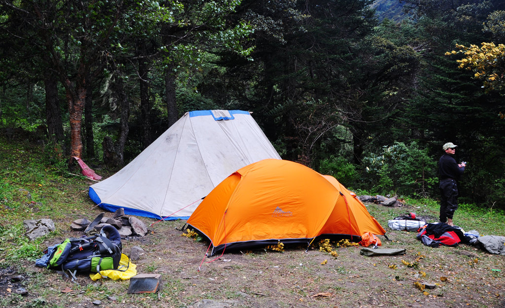 dsc_0974a.jpg