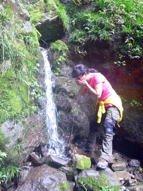 p1160650_.jpg