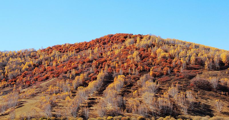 dsc_4030.jpg
