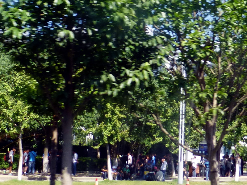 p1130347.jpg