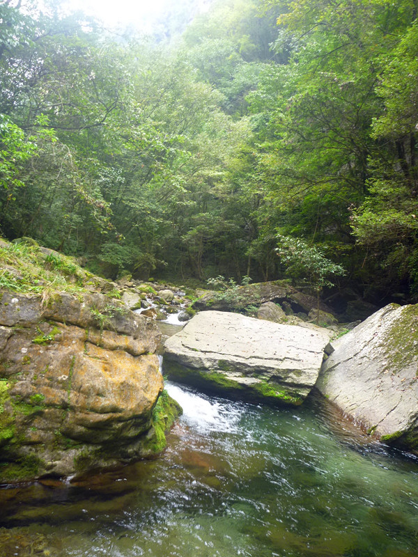 p1160628_.jpg