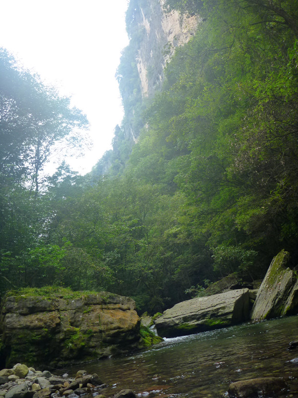 p1160629_.jpg