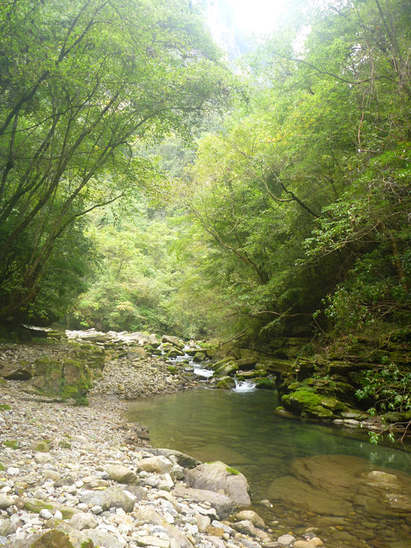 p1160631_.jpg