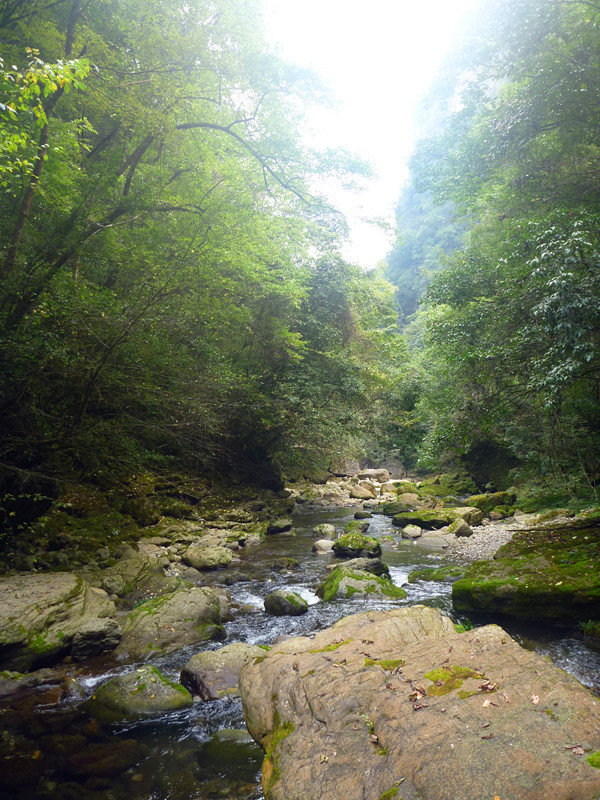 p1160636_.jpg