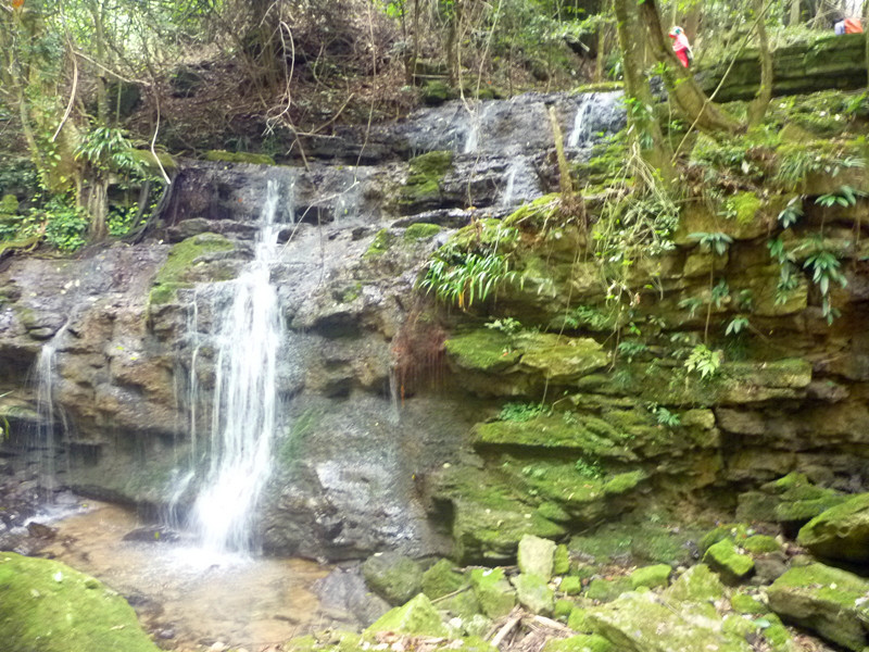 p1160640_.jpg