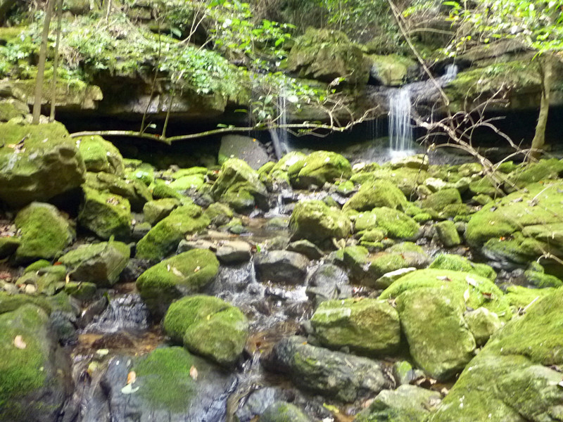 p1160642_.jpg