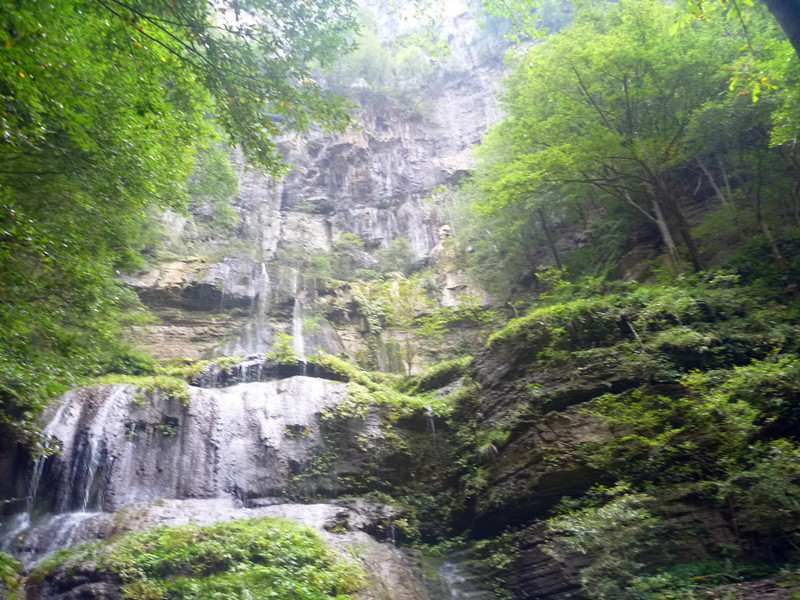 p1160643_.jpg