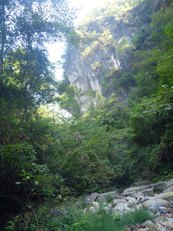 p1160800_副本.jpg