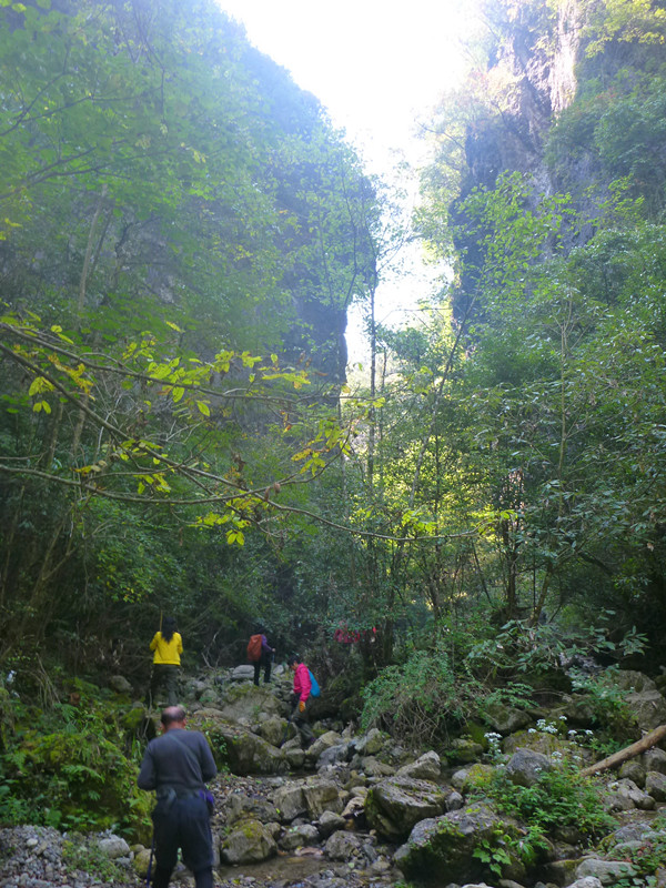 p1160804_副本.jpg