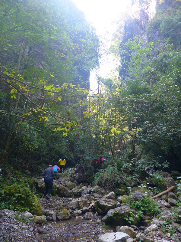 p1160805_副本.jpg