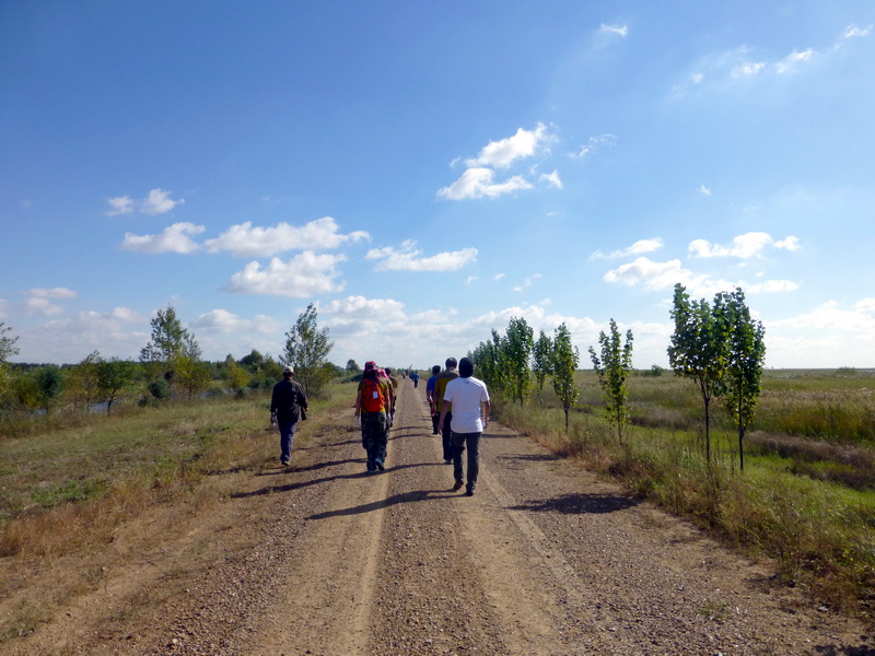 p1120613.jpg