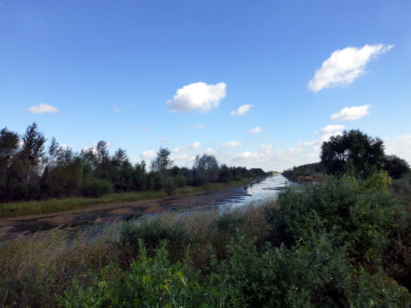 p1120616.jpg