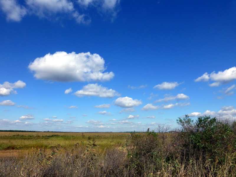 p1120619.jpg